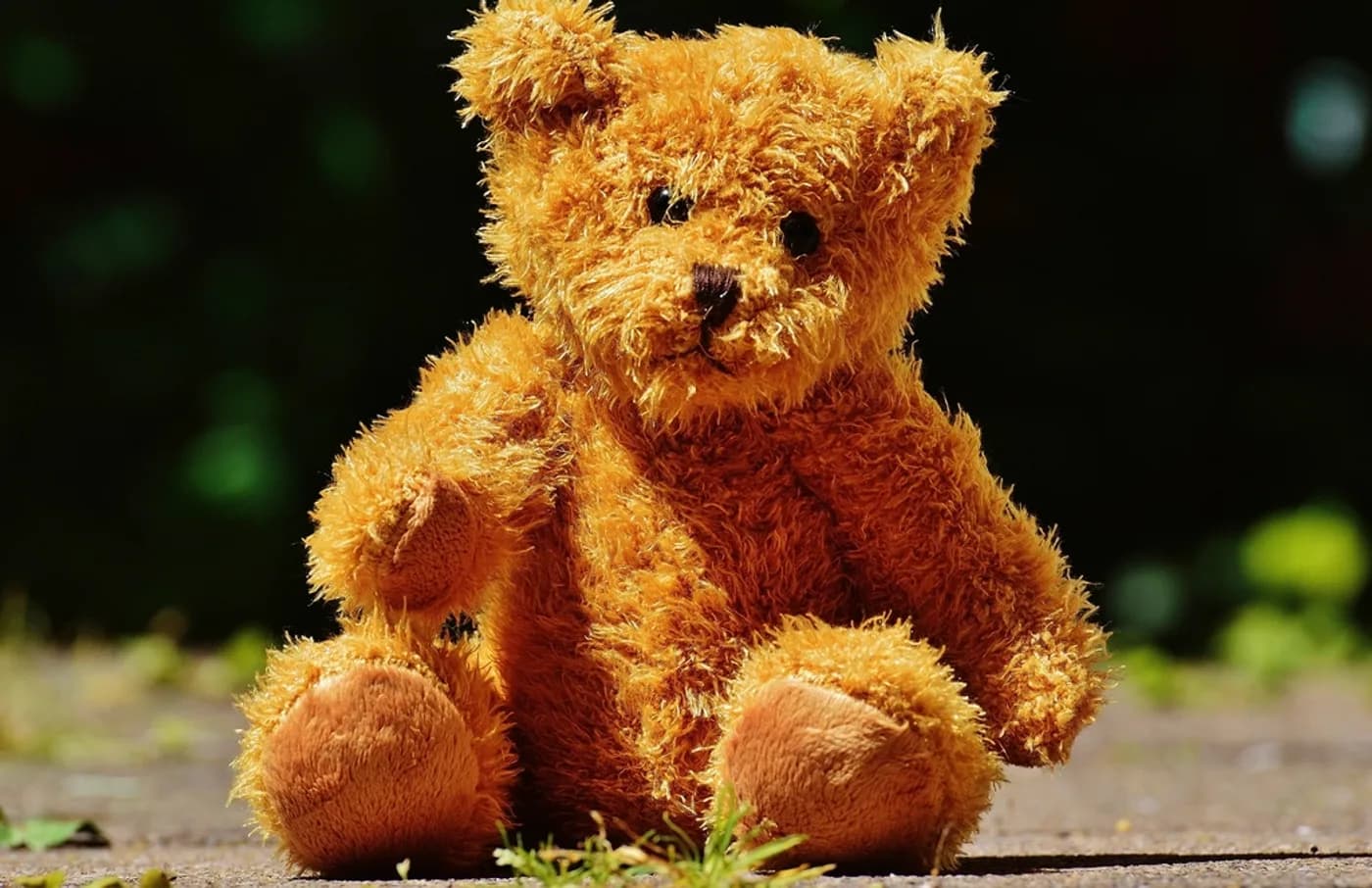 Bhalu Classic Teddy Bear